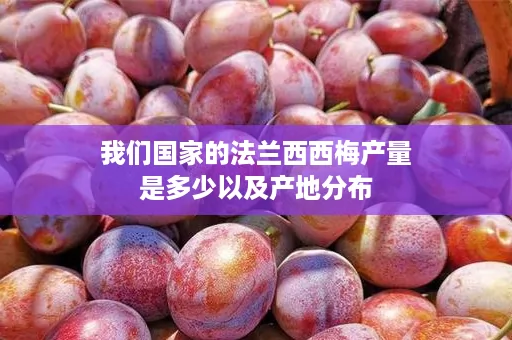我们国家的法兰西西梅产量是多少以及产地分布