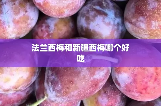 法兰西梅和新疆西梅哪个好吃