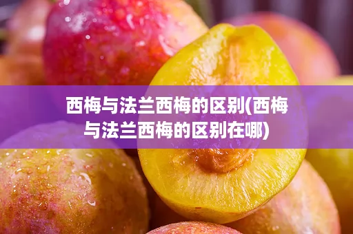 西梅与法兰西梅的区别(西梅与法兰西梅的区别在哪)