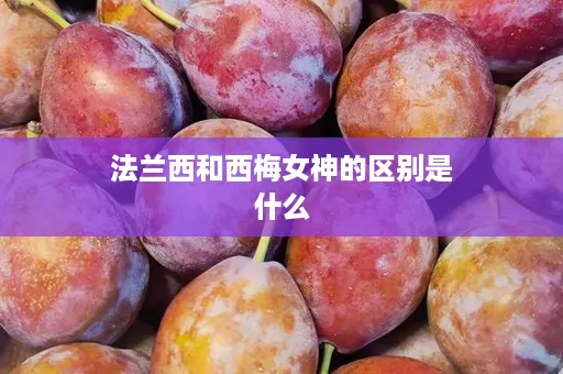 法兰西和西梅女神的区别是什么