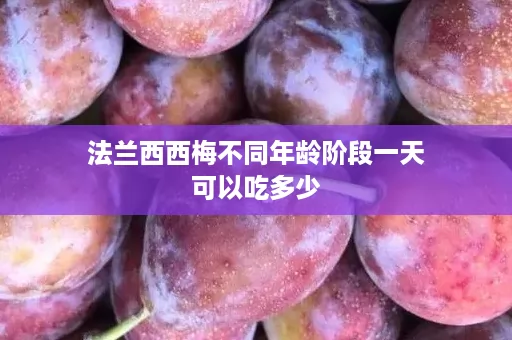 法兰西西梅不同年龄阶段一天可以吃多少