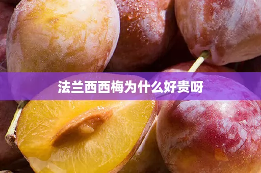 法兰西西梅为什么好贵呀