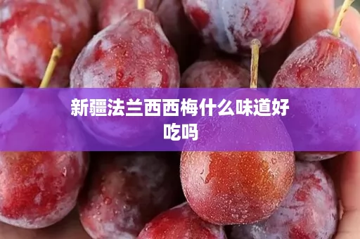 新疆法兰西西梅什么味道好吃吗