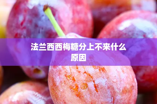法兰西西梅糖分上不来什么原因