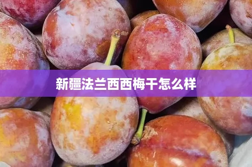 新疆法兰西西梅干怎么样