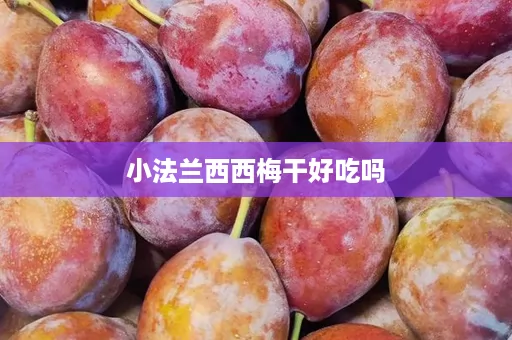 小法兰西西梅干好吃吗