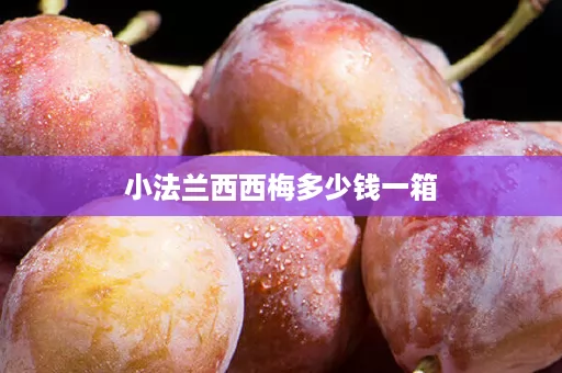 小法兰西西梅多少钱一箱