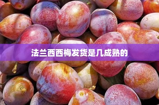 法兰西西梅发货是几成熟的