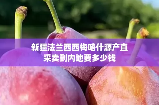 新疆法兰西西梅喀什源产直采卖到内地要多少钱