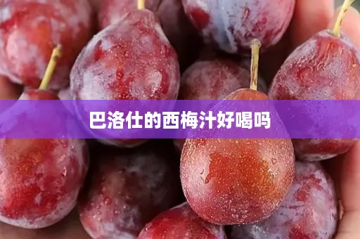 巴洛仕的西梅汁好喝吗