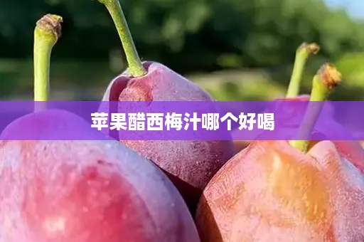 苹果醋西梅汁哪个好喝