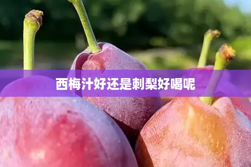 西梅汁好还是刺梨好喝呢