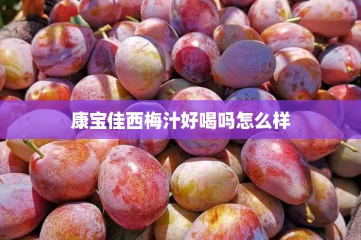康宝佳西梅汁好喝吗怎么样