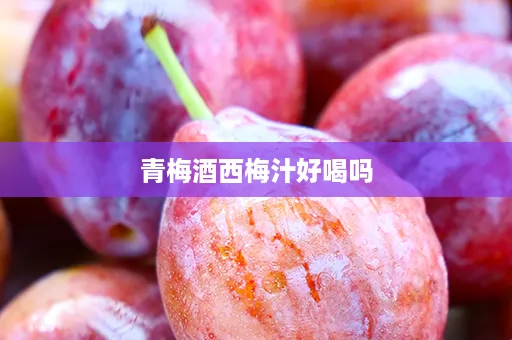 青梅酒西梅汁好喝吗