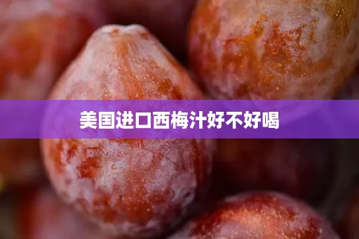 美国进口西梅汁好不好喝