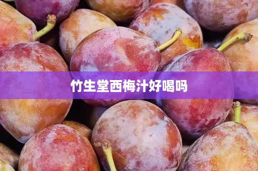 竹生堂西梅汁好喝吗