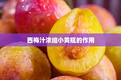 西梅汁浓缩小黄瓶的作用