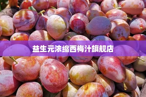 益生元浓缩西梅汁旗舰店