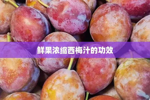 鲜果浓缩西梅汁的功效