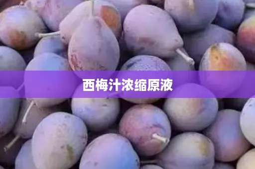 西梅汁浓缩原液
