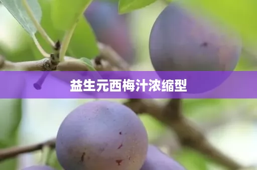 益生元西梅汁浓缩型