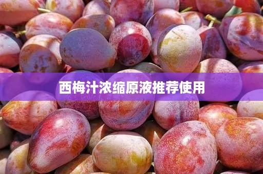 西梅汁浓缩原液推荐使用