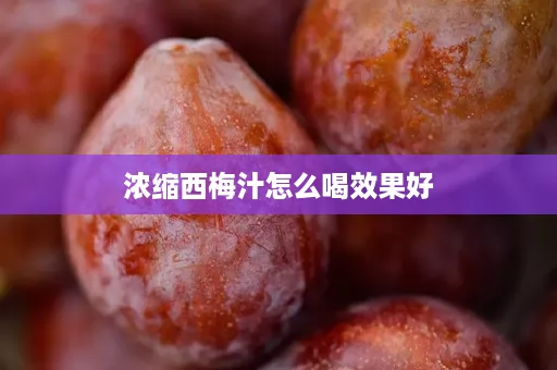 浓缩西梅汁怎么喝效果好