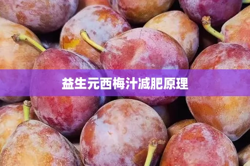 益生元西梅汁减肥原理
