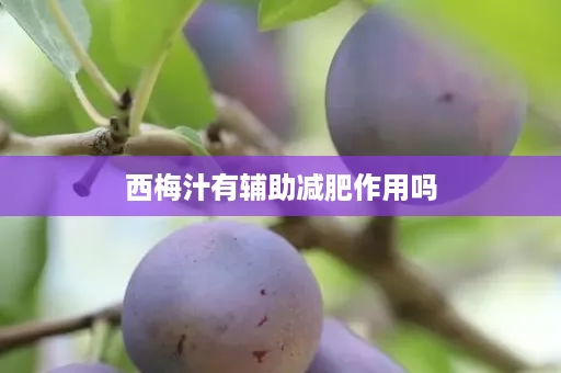 西梅汁有辅助减肥作用吗