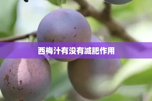 西梅汁有没有减肥作用