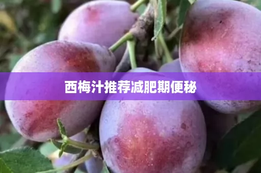 西梅汁推荐减肥期便秘