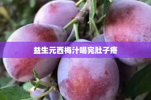 益生元西梅汁喝完肚子疼