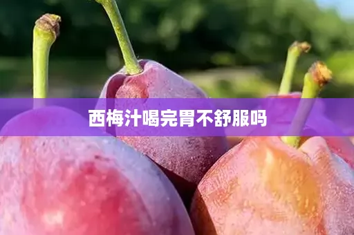 西梅汁喝完胃不舒服吗