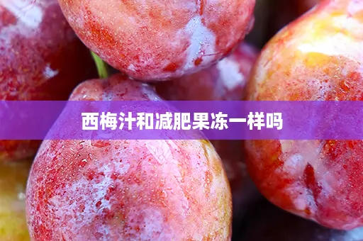 西梅汁和减肥果冻一样吗