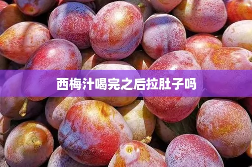 西梅汁喝完之后拉肚子吗