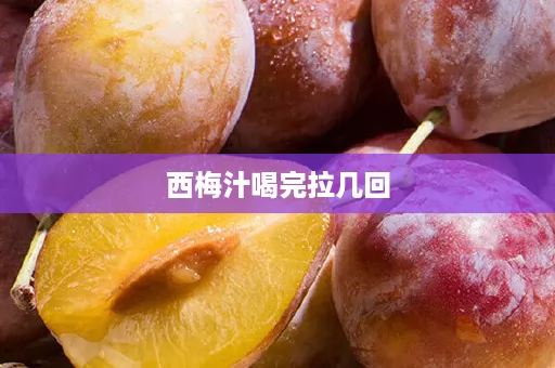 西梅汁喝完拉几回