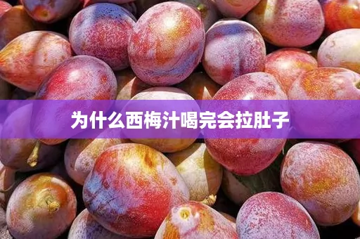 为什么西梅汁喝完会拉肚子