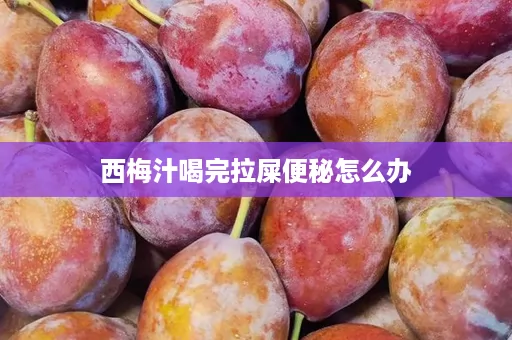 西梅汁喝完拉屎便秘怎么办