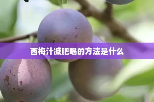 西梅汁减肥喝的方法是什么