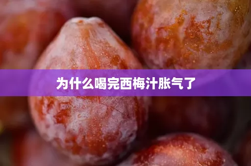 为什么喝完西梅汁胀气了