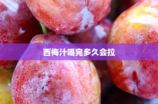 西梅汁喝完多久会拉