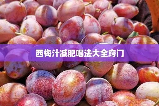 西梅汁减肥喝法大全窍门