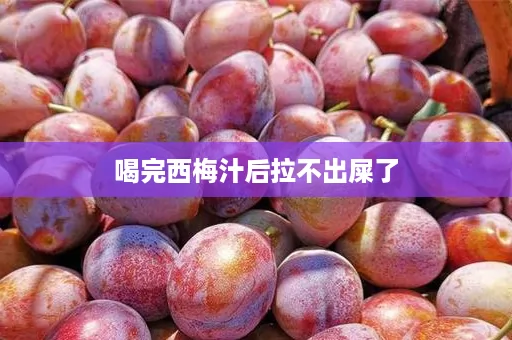喝完西梅汁后拉不出屎了