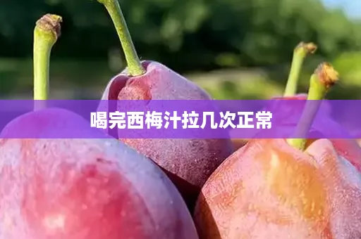 喝完西梅汁拉几次正常