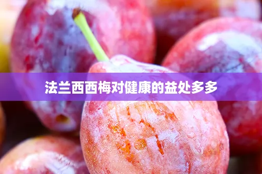 法兰西西梅对健康的益处多多