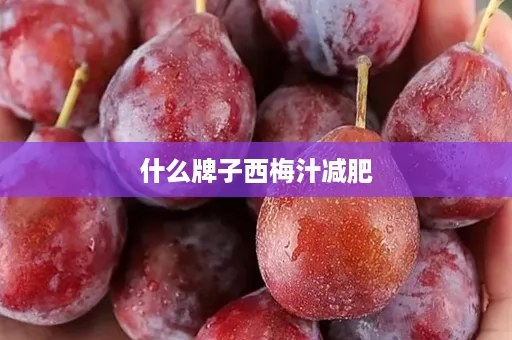 什么牌子西梅汁减肥