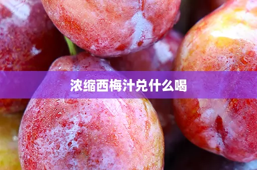 浓缩西梅汁兑什么喝