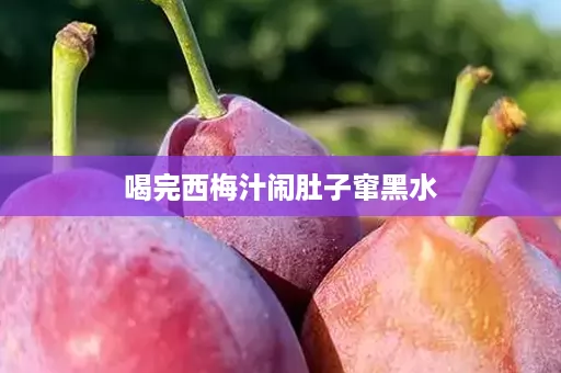 喝完西梅汁闹肚子窜黑水