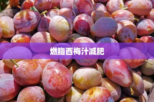燃脂西梅汁减肥