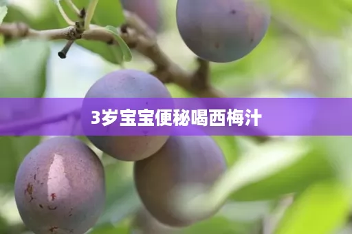 3岁宝宝便秘喝西梅汁